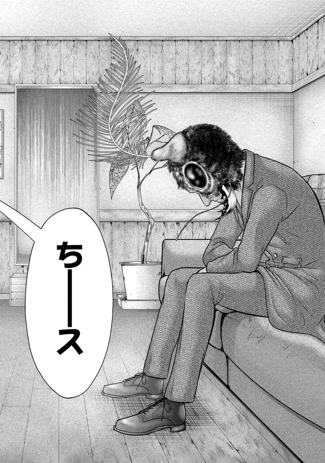 32