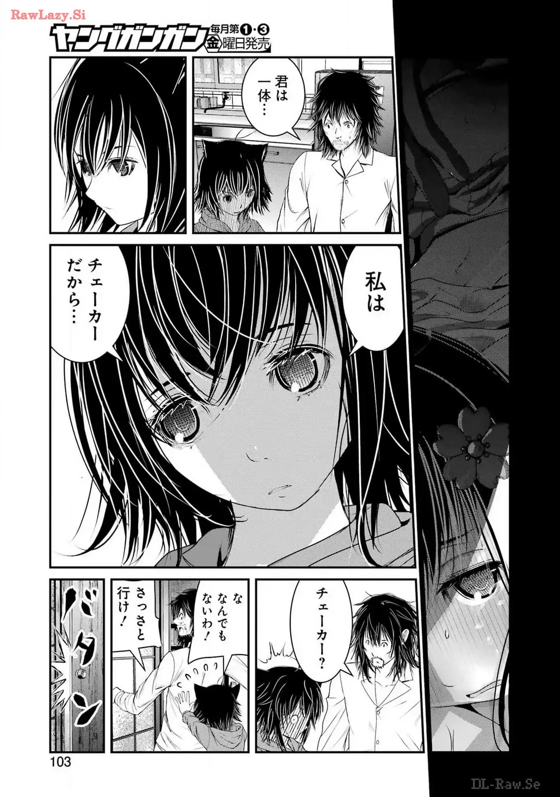 41