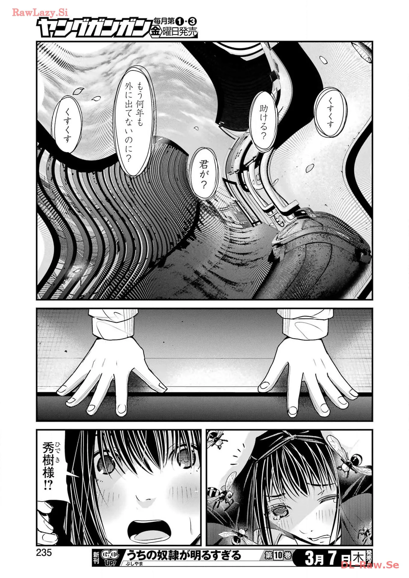 41