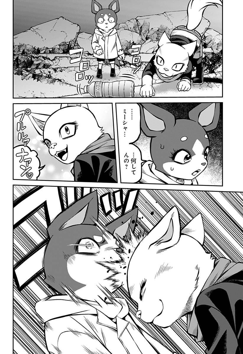 14