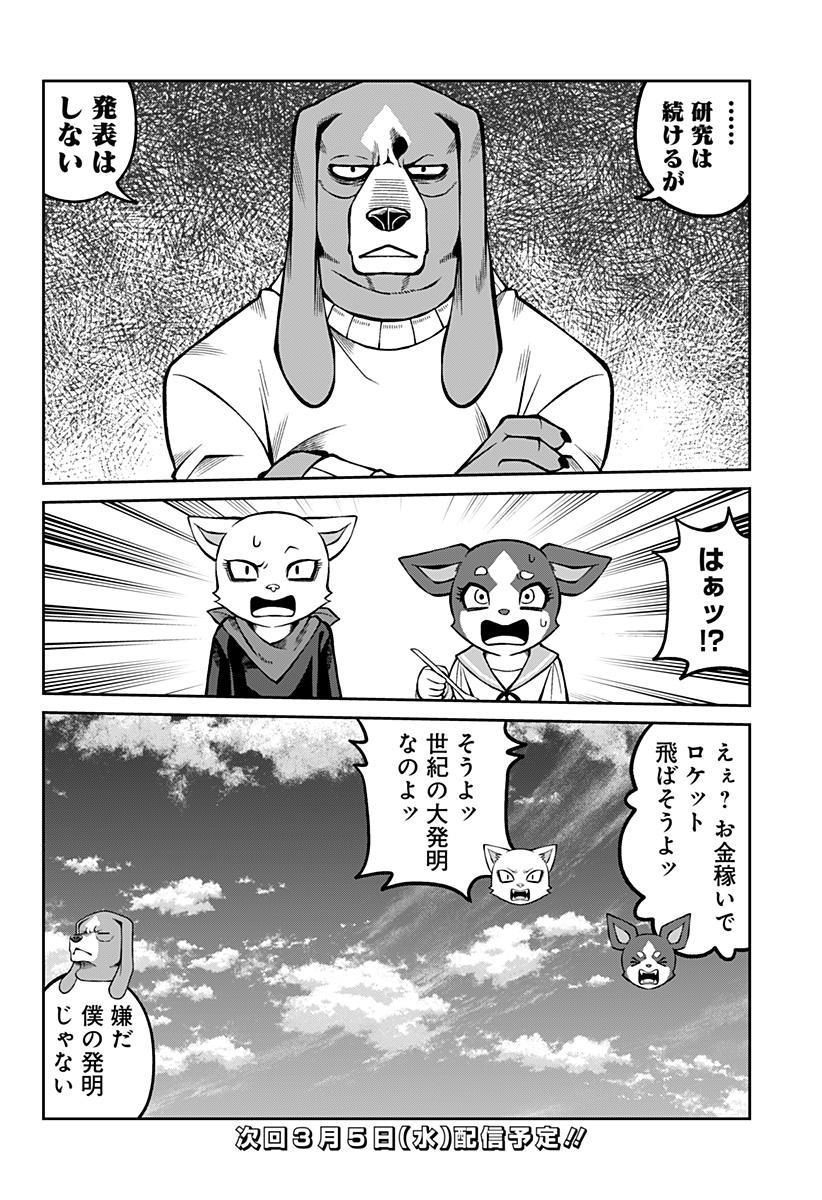 19