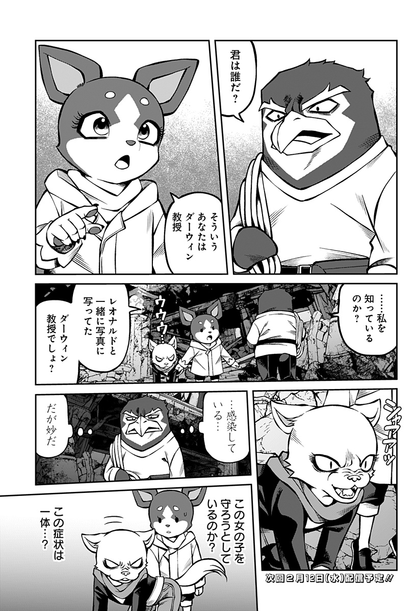 17