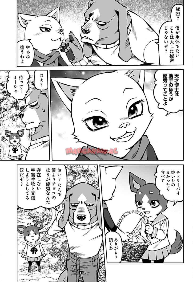 33