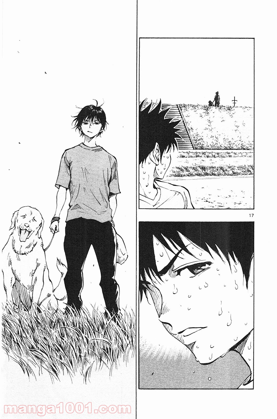 17