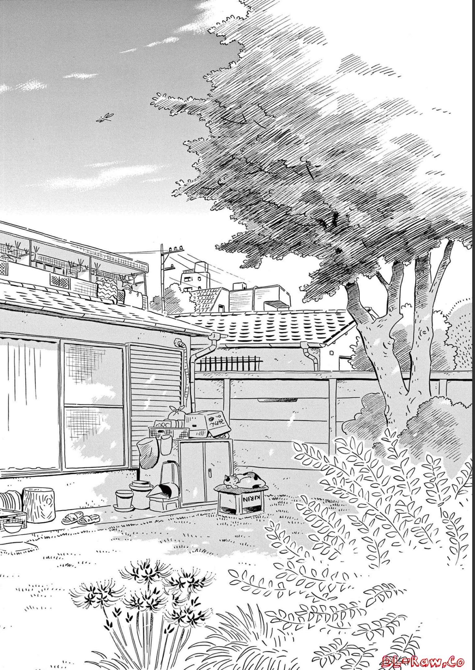 ひらやすみ 第32話 - Page 14