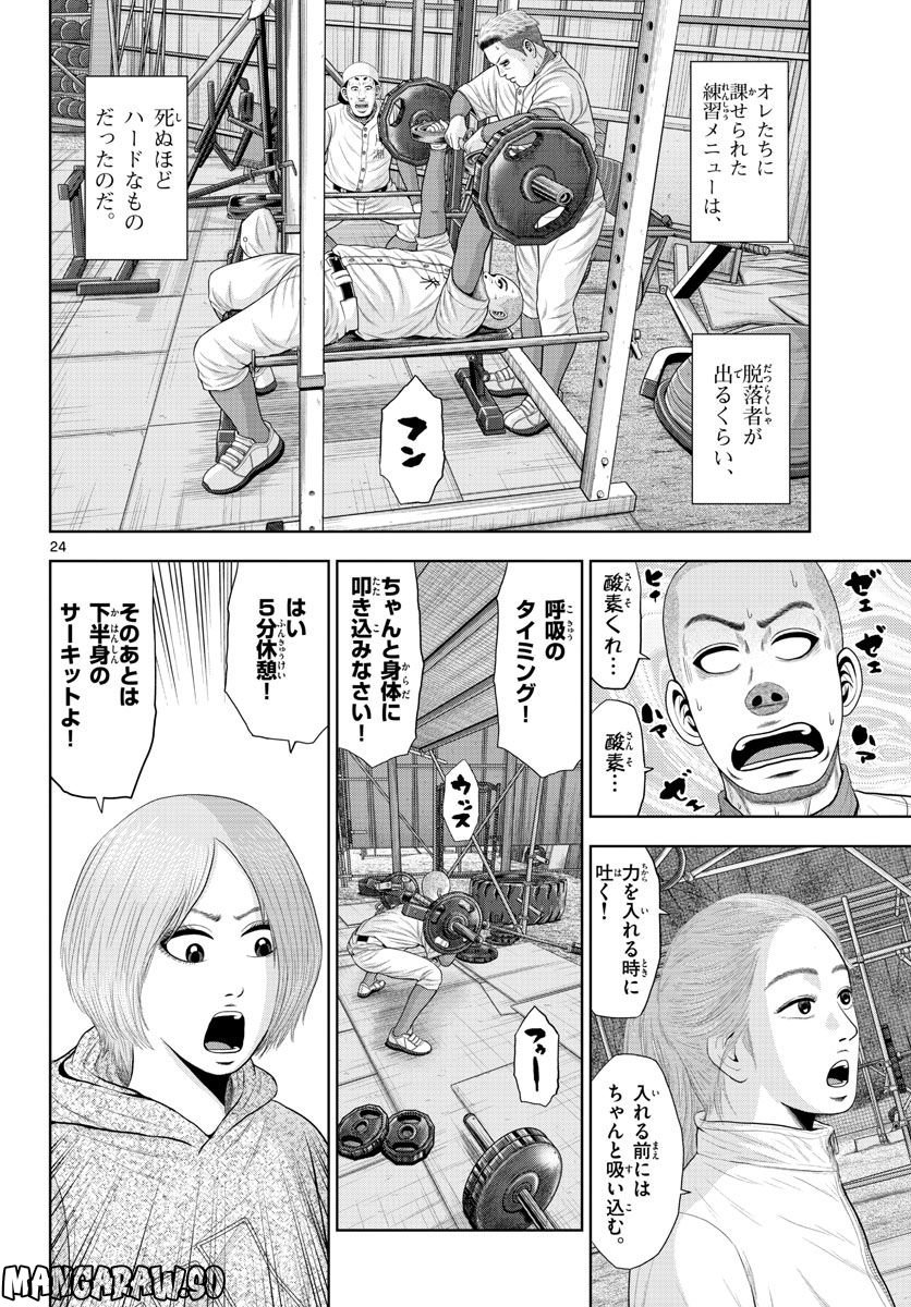 24