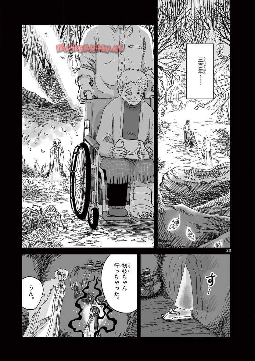 23