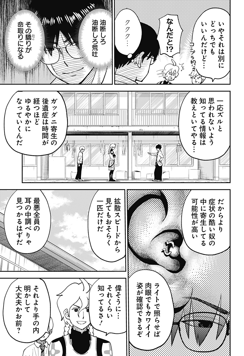 13