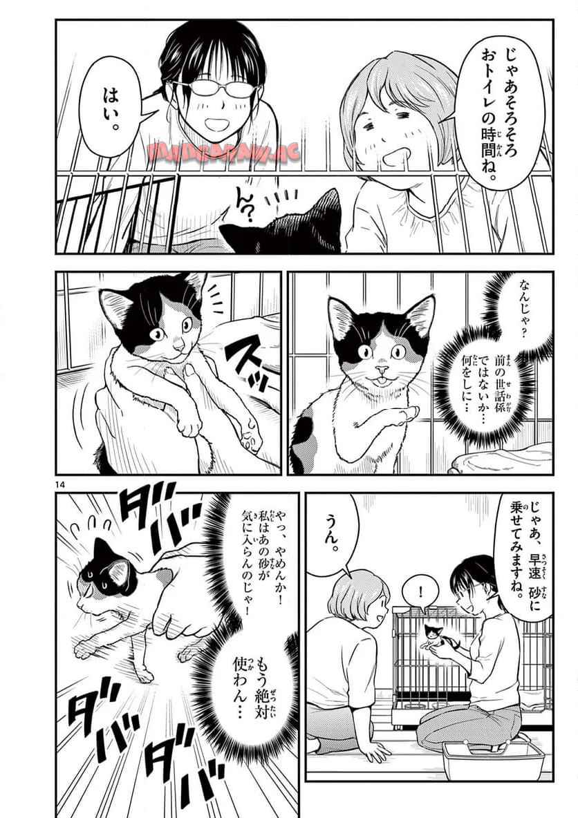 14