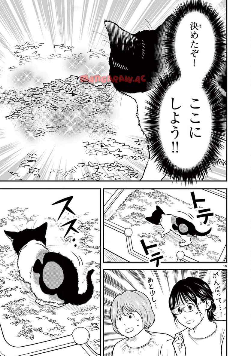 19
