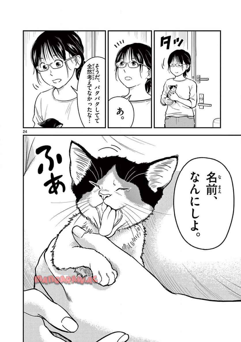 24