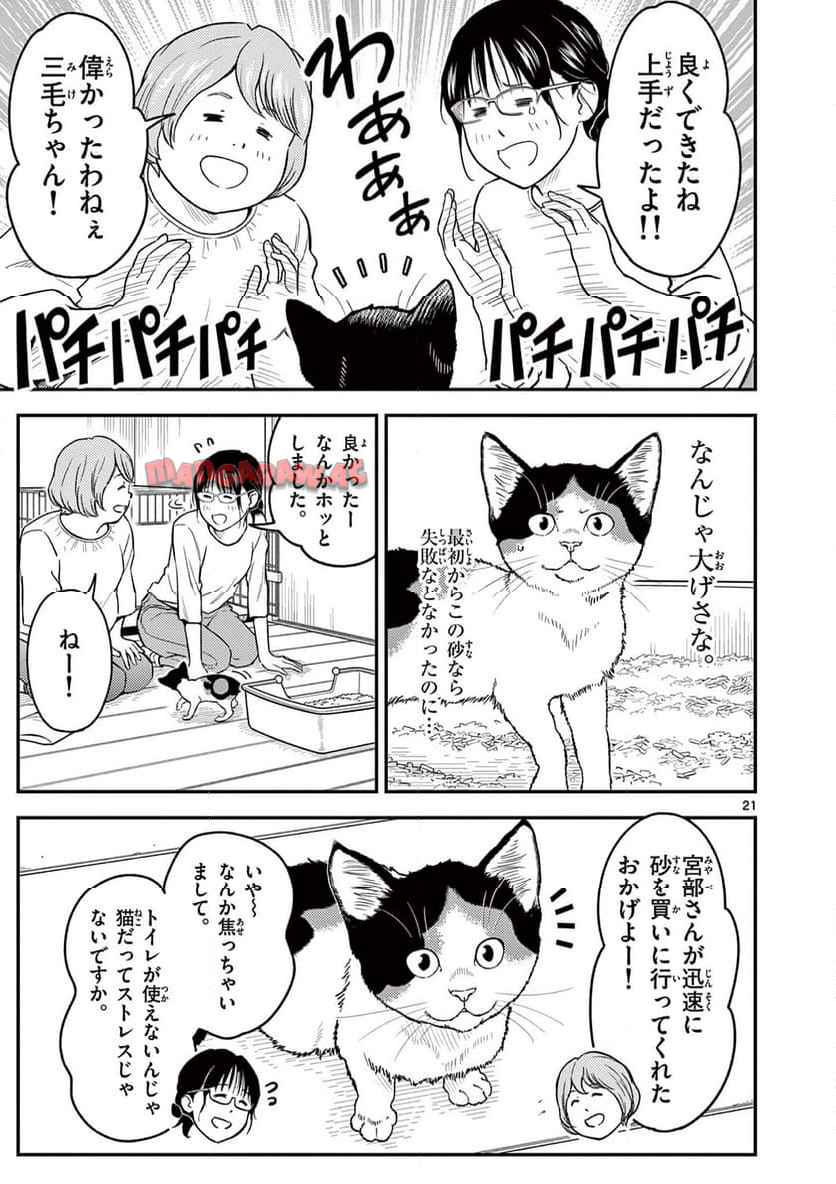 21