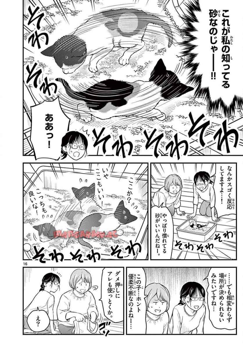 16