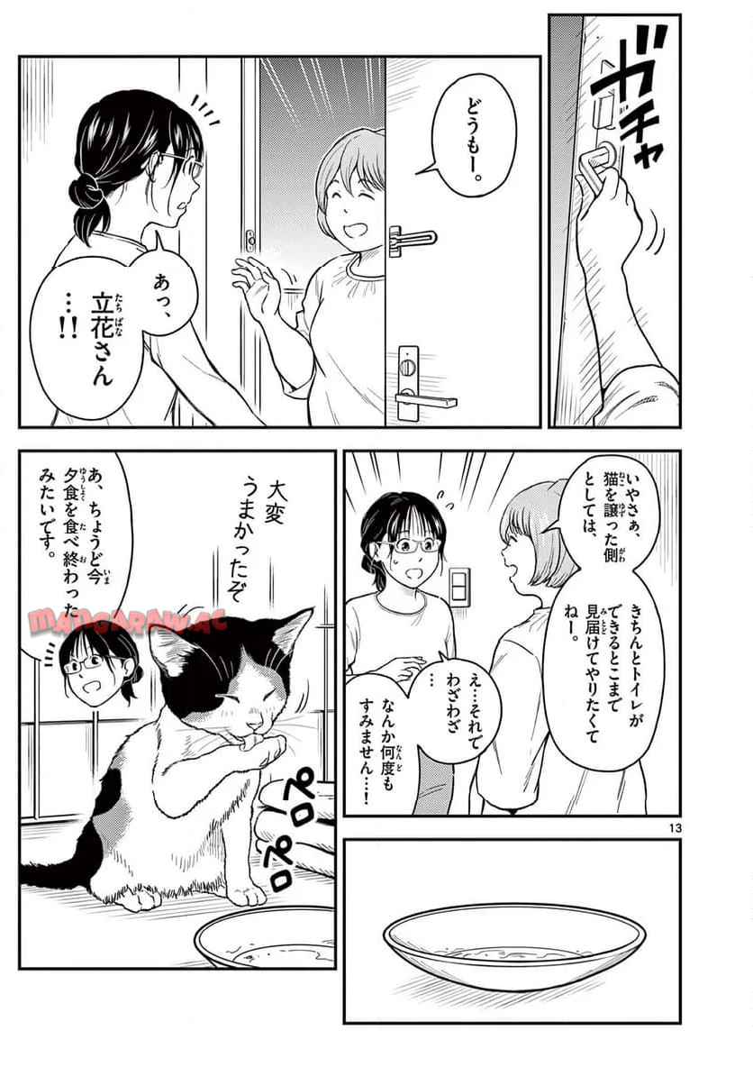 13