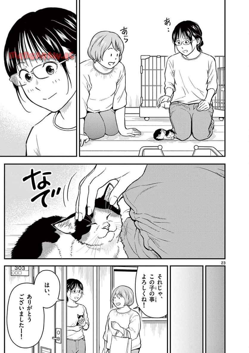 23