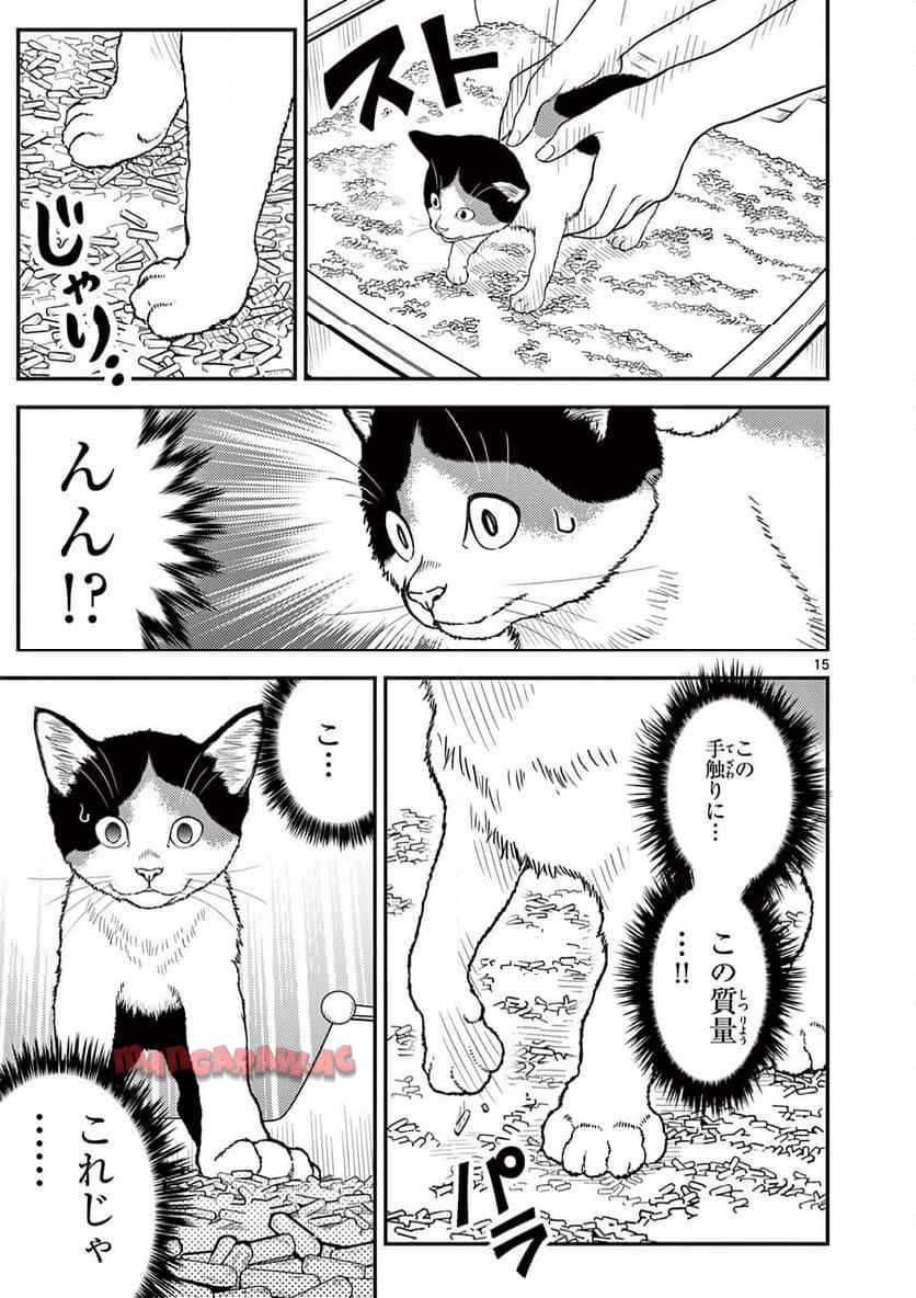 15