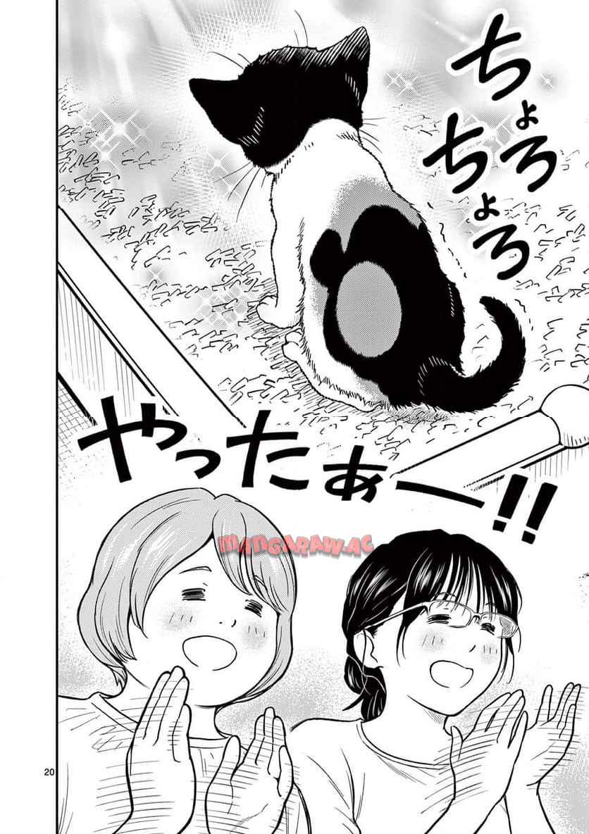 20